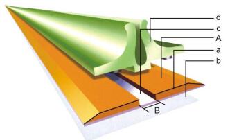 conocimientos t&eacute;cnicos